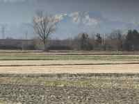 ���O, ��, �t�B�[���h, �� ���܂܂�Ă���摜

AI �����R���e���c�͌����܂މ\��������܂��B