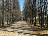 �؁X�̍����e

AI �����R���e���c�͌����܂މ\��������܂��B