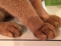 �����̂ʂ������

AI �����R���e���c�͌����܂މ\��������܂��B