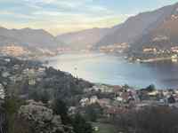 �R�ƌ΂̕��i

AI �����R���e���c�͌����܂މ\��������܂��B