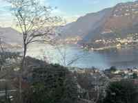 �R�ƌ΂̕��i

AI �����R���e���c�͌����܂މ\��������܂��B