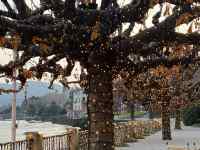 �Ⴊ�ς�������

AI �����R���e���c�͌����܂މ\��������܂��B