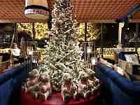 ����, �e�[�u��, ��炵, ���� ���܂܂�Ă���摜

AI �����R���e���c�͌����܂މ\��������܂��B