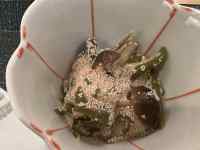 ��, �H�i, �e�[�u��, �_�j ���܂܂�Ă���摜

AI �����R���e���c�͌����܂މ\��������܂��B