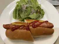 �M�̏�ɂ���z�b�g�h�b�O

AI �����R���e���c�͌����܂މ\��������܂��B