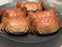 ��, ����, �M, �e�[�u�� ���܂܂�Ă���摜

AI �����R���e���c�͌����܂މ\��������܂��B