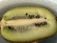 �o�i�i�̔�

AI �����R���e���c�͌����܂މ\��������܂��B