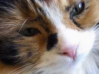 �L�̊�

AI �����R���e���c�͌����܂މ\��������܂��B