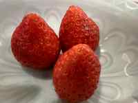 �M�̏�̃f�U�[�g

AI �����R���e���c�͌����܂މ\��������܂��B