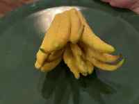 �H�i, �j, ����, �t���[�c ���܂܂�Ă���摜

AI �����R���e���c�͌����܂މ\��������܂��B