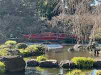 ���O, ��, ��, �� ���܂܂�Ă���摜

AI �����R���e���c�͌����܂މ\��������܂��B