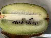 �t���[�c, ����, ����, �H�i ���܂܂�Ă���摜

AI �����R���e���c�͌����܂މ\��������܂��B