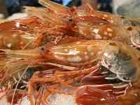 �H�i, �e�[�u��, �G�r, �M ���܂܂�Ă���摜

AI �����R���e���c�͌����܂މ\��������܂��B