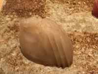 ���O, ��, �t�B�[���h, ���� ���܂܂�Ă���摜

AI �����R���e���c�͌����܂މ\��������܂��B