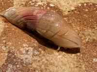 ����, ����, �H�i, �J�E���^�[ ���܂܂�Ă���摜

AI �����R���e���c�͌����܂މ\��������܂��B