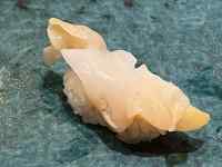 �H�i, ����, ������, �e�[�u�� ���܂܂�Ă���摜

AI �����R���e���c�͌����܂މ\��������܂��B