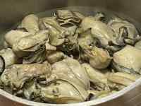 ����, �H�i, �����ς�, �{�E�� ���܂܂�Ă���摜

AI �����R���e���c�͌����܂މ\��������܂��B