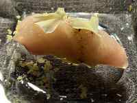 �؂̎}

AI �����R���e���c�͌����܂މ\��������܂��B