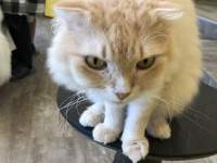 �����o�b�N�O���E���h�̑O�ɗ����Ă���L

AI �����R���e���c�͌����܂މ\��������܂��B