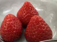 ��̏�ɂ��鐔��ނ̃t���[�c

AI �����R���e���c�͌����܂މ\��������܂��B