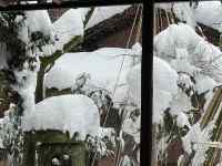 ����, ��, ����, �ʐ^ ���܂܂�Ă���摜

AI �����R���e���c�͌����܂މ\��������܂��B