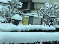 ��, ����, �傫��, ���� ���܂܂�Ă���摜

AI �����R���e���c�͌����܂މ\��������܂��B