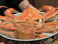 �M�̏�̃J�j

AI �����R���e���c�͌����܂މ\��������܂��B