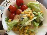 �M�̏�ɂ���T���_

AI �����R���e���c�͌����܂މ\��������܂��B