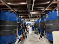 �V��, ���O, �u���[, ���� ���܂܂�Ă���摜

AI �����R���e���c�͌����܂މ\��������܂��B