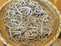 �p�X�^�̃A�b�v

AI �����R���e���c�͌����܂މ\��������܂��B