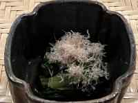 �e�[�u��, ����, �w�����b�g, �H�i ���܂܂�Ă���摜

AI �����R���e���c�͌����܂މ\��������܂��B