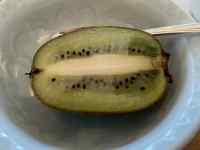 �M�̏�ɂ���o�i�i

AI �����R���e���c�͌����܂މ\��������܂��B