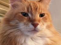 �L�̊�

AI �����R���e���c�͌����܂މ\��������܂��B