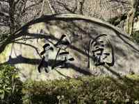 ���O, �� ���܂܂�Ă���摜

AI �����R���e���c�͌����܂މ\��������܂��B