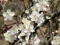 �Ԃ��炢�Ă���

AI �����R���e���c�͌����܂މ\��������܂��B