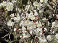 �Ԃ��炢�Ă���A��

AI �����R���e���c�͌����܂މ\��������܂��B