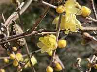 �Ԃ��炢���}

AI �����R���e���c�͌����܂މ\��������܂��B