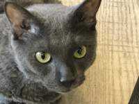 �L�̊�

AI �����R���e���c�͌����܂މ\��������܂��B