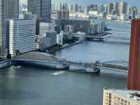 �`�ɒ┑���Ă���{�[�g

AI �����R���e���c�͌����܂މ\��������܂��B