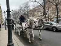 �n�Ԃɏ��l

AI �����R���e���c�͌����܂މ\��������܂��B