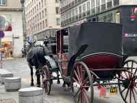 �n�Ԃɏ���Ă���

AI �����R���e���c�͌����܂މ\��������܂��B