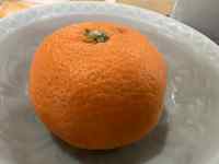 �M�̏�̃I�����W

AI �����R���e���c�͌����܂މ\��������܂��B