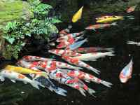 �� ���܂܂�Ă���摜

AI �����R���e���c�͌����܂މ\��������܂��B