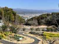 �R�̒��̓��H

AI �����R���e���c�͌����܂މ\��������܂��B