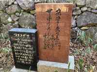 �����K ���܂܂�Ă���摜

AI �����R���e���c�͌����܂މ\��������܂��B