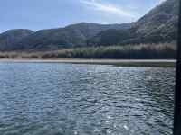 �΂ƎR�̕��i

AI �����R���e���c�͌����܂މ\��������܂��B