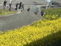 ��, ���O, �t�B�[���h, ���O ���܂܂�Ă���摜

AI �����R���e���c�͌����܂މ\��������܂��B