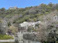 �u�̏�ɂ���

AI �����R���e���c�͌����܂މ\��������܂��B