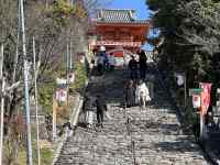 ���O, ����, �X�g���[�g, �L�� ���܂܂�Ă���摜

AI �����R���e���c�͌����܂މ\��������܂��B