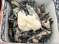 �H�i ���܂܂�Ă���摜

AI �����R���e���c�͌����܂މ\��������܂��B